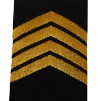 1º Sargento INSTINTO MILITAR