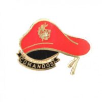 Pin Comandos