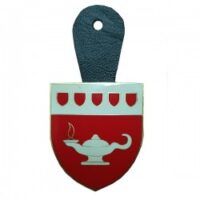 Crachá de botão Escola de armas