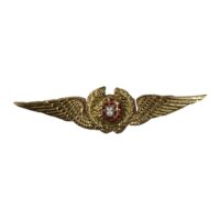 Pin piloto militar