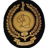 Emblema CI INSTINTO MILITAR