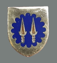 Pin Paraquedistas (3) INSTINTO MILITAR