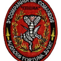Bordado 3ª companhia Comandos INSTINTO MILITAR