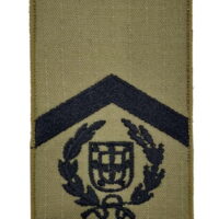 Divisa Sargento chefe