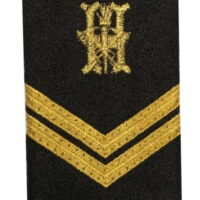 Passadeiras de Bombeiro de 3ª honorário