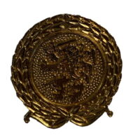 Insígnia de boina PQ1