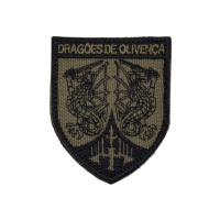 Bordado Dragões de Olivença (2)