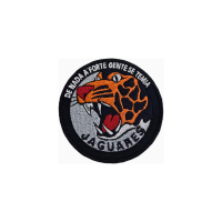 Bordado Jaguares