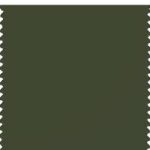 RANGER GREEN